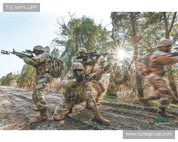 上海排球队的灵活性揭秘：从战术到训练的全面剖析与探讨