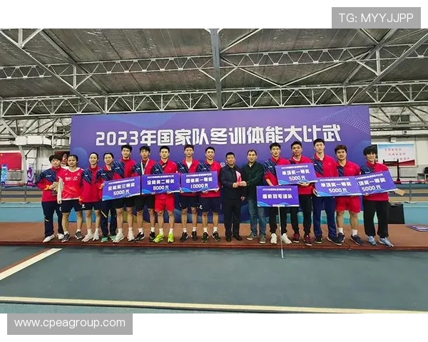 南京羽毛球队实力深度解析与其他球队的对比分析