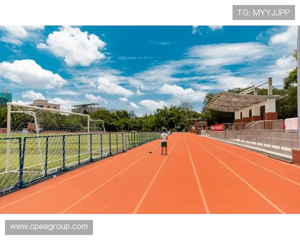 《探索体育运动的无限魅力与发展趋势：从全民健身到竞技体育的多元化发展》